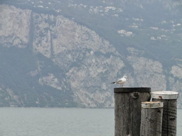 Foto 14 von 47 aus der Galerie Südtirol 2013