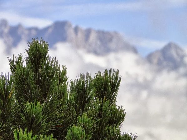 Foto 46 von 47 aus der Galerie Südtirol 2013