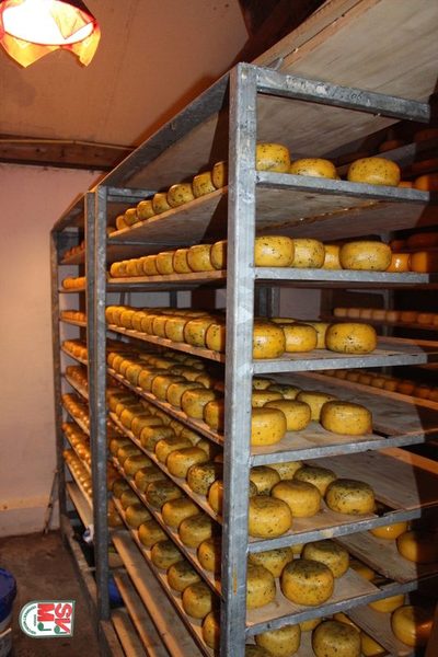 Foto 223 von 557 aus der Galerie Konzertreise Niederlande
