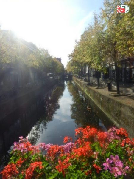 Foto 269 von 557 aus der Galerie Konzertreise Niederlande