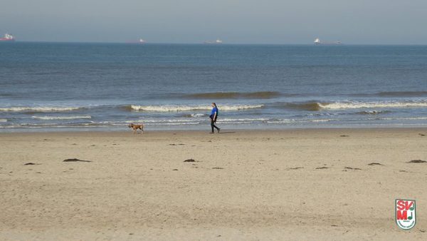 Foto 304 von 557 aus der Galerie Konzertreise Niederlande