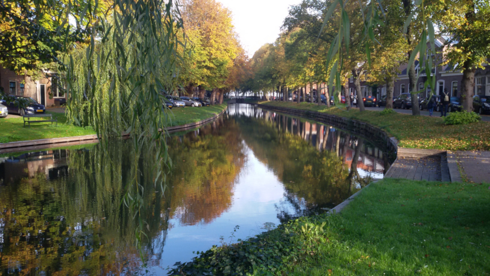 Eine von herbstlich gefärbten Bäumen gesäumte Gracht in Delft, in deren ruhigem Wasser sich Ufer und Himmel spiegeln